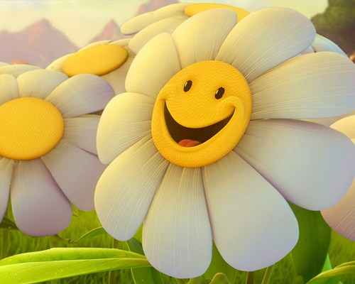 smile flower