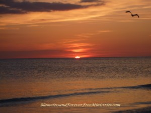 Blameless and Forever Free