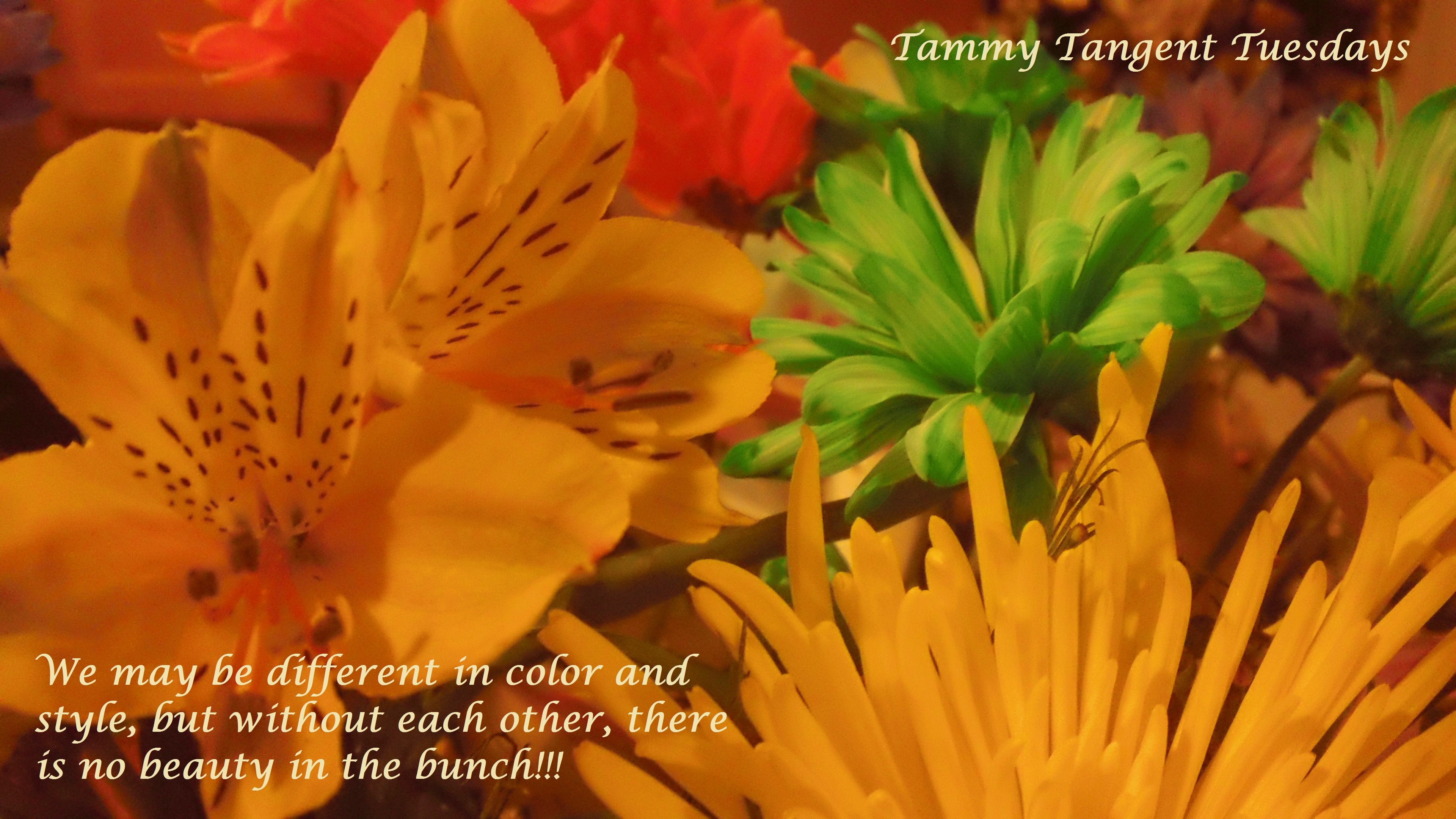 Tammy Tangent Tuesdays