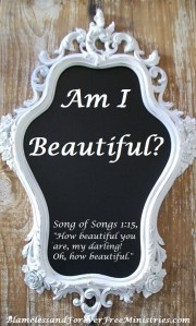 Blameless Mirror Mirror 1