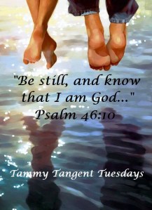 Blameless Psalm 46.10 TTT