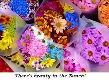 Blameless Flowers Beauty in the Bunch 1