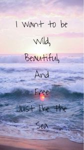 Blameless Wild, Beautiful, Free
