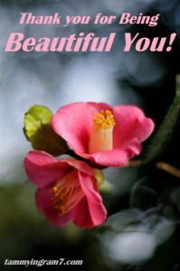 Blameless Beautiful You 3