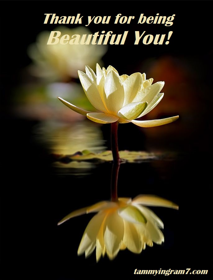 Blameless Flower 6.6