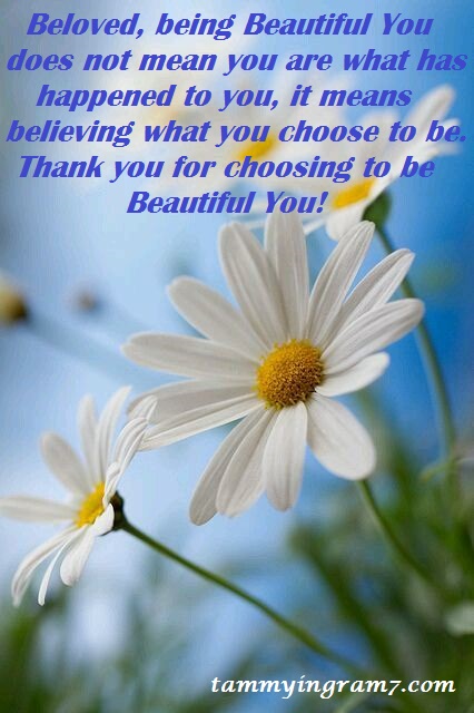 Tammy Tangent Tuesdays –&nbsp;Forgiveness