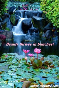 Blameless Flower 8.8