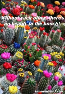 Blameless Flowers Bunch 11