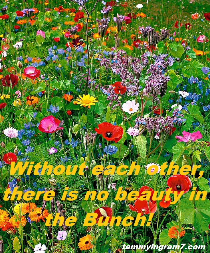 Blameless Flowers Bunch