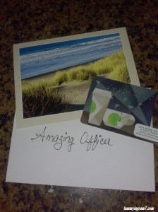 Blameless Amazing Officer