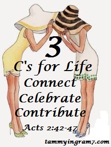 Blameless Girls 3 C's 1.1