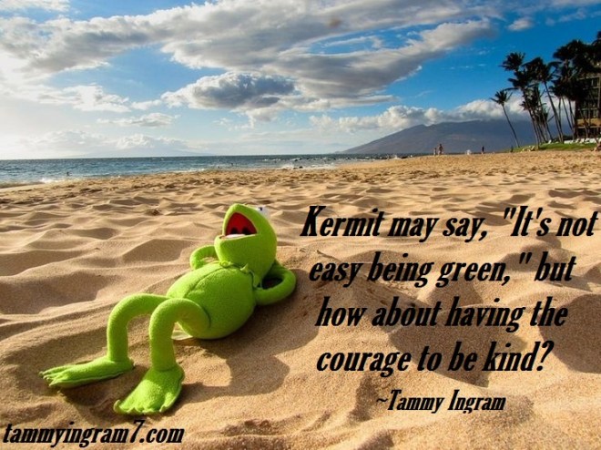 Blameless Kermit Courage 2.7