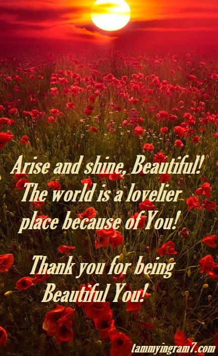 Arise and Shine, Beautiful!  ♥♥ Tammy Tangent&nbsp;Tuesdays