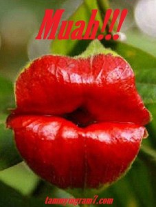 Blameless Flower Lips