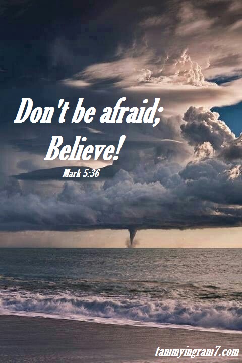 Blameless Storm Believe