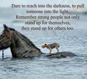 Blameless Hands of God 6