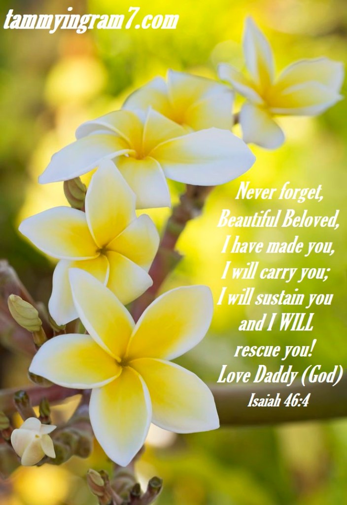 Blameless Isaiah 46.4.1