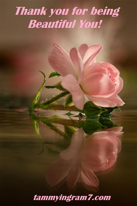 Blameless Beautiful You