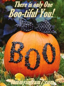 Blameless Boo Pumpkin 7.7
