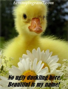 Blameless No Ugly Duckling 1