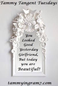 Blameless Mirror Image 1.1