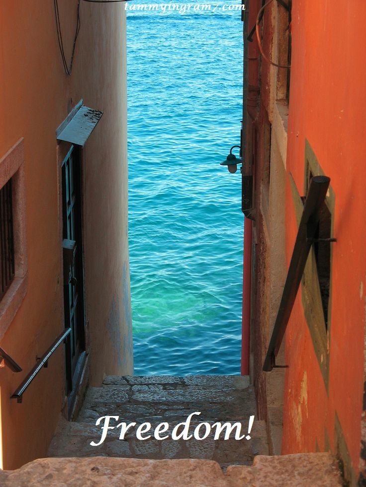 Blameless Stairs to Freedom