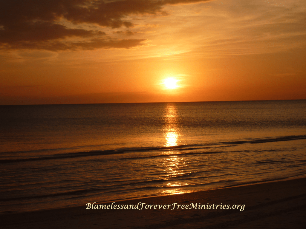 Proverbs 3:5-6 (NIV):  “Trust in the Lord with all your heart and lean not on your own understanding…”