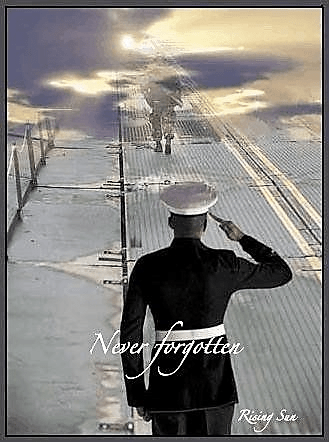 Honoring The Fallen! Never&nbsp;Forgotten?