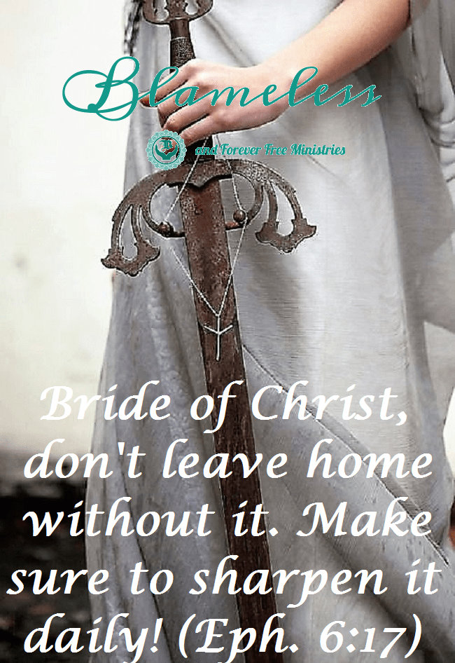 Blameless Don't Leave Home Without It (3)1