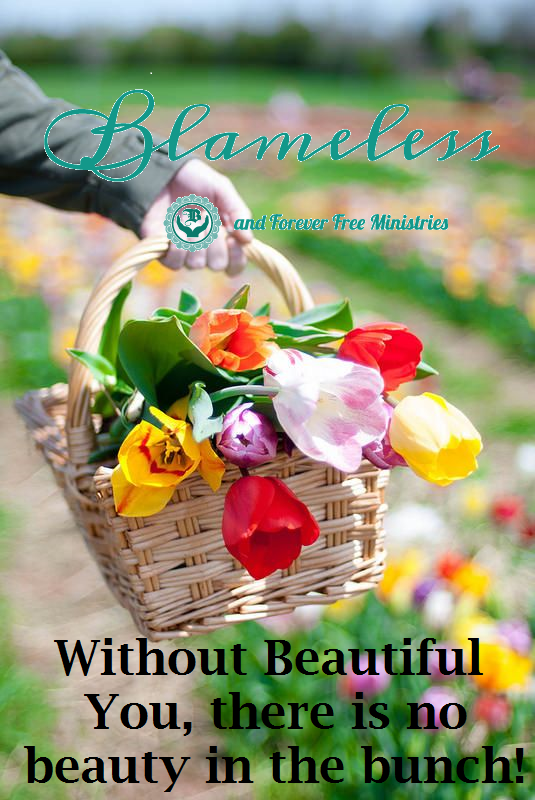 Blameless Basketful of Flowers 1