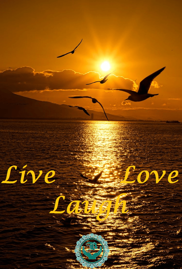 Blameless Live Laugh Love 1.1