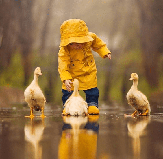 Simple Things Really…