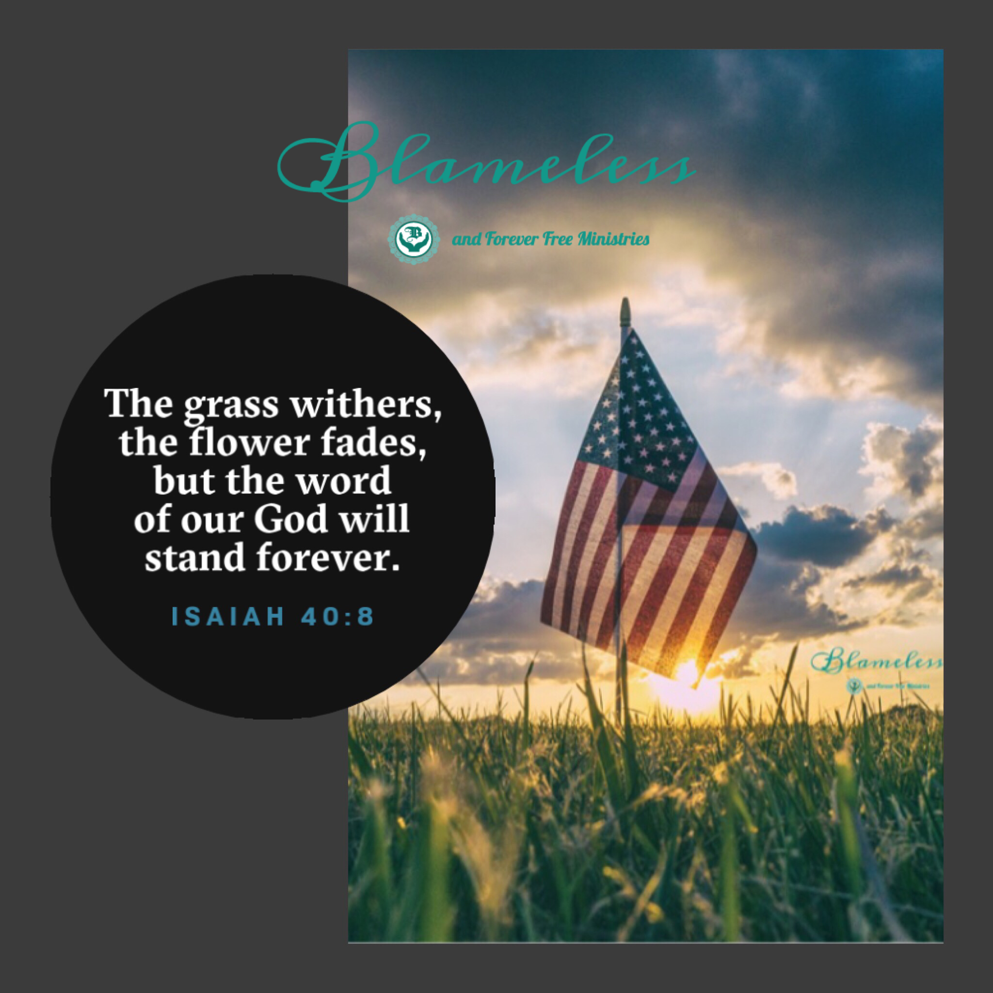 Blameless Isaiah 40:8, The grass withers, the flower fades, but the word of our God will stand forever.