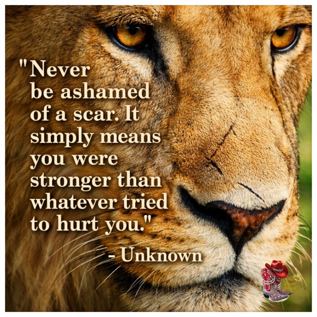 Living With Addiction Day 20 ~ Broken Behaviors of&nbsp;Abuse